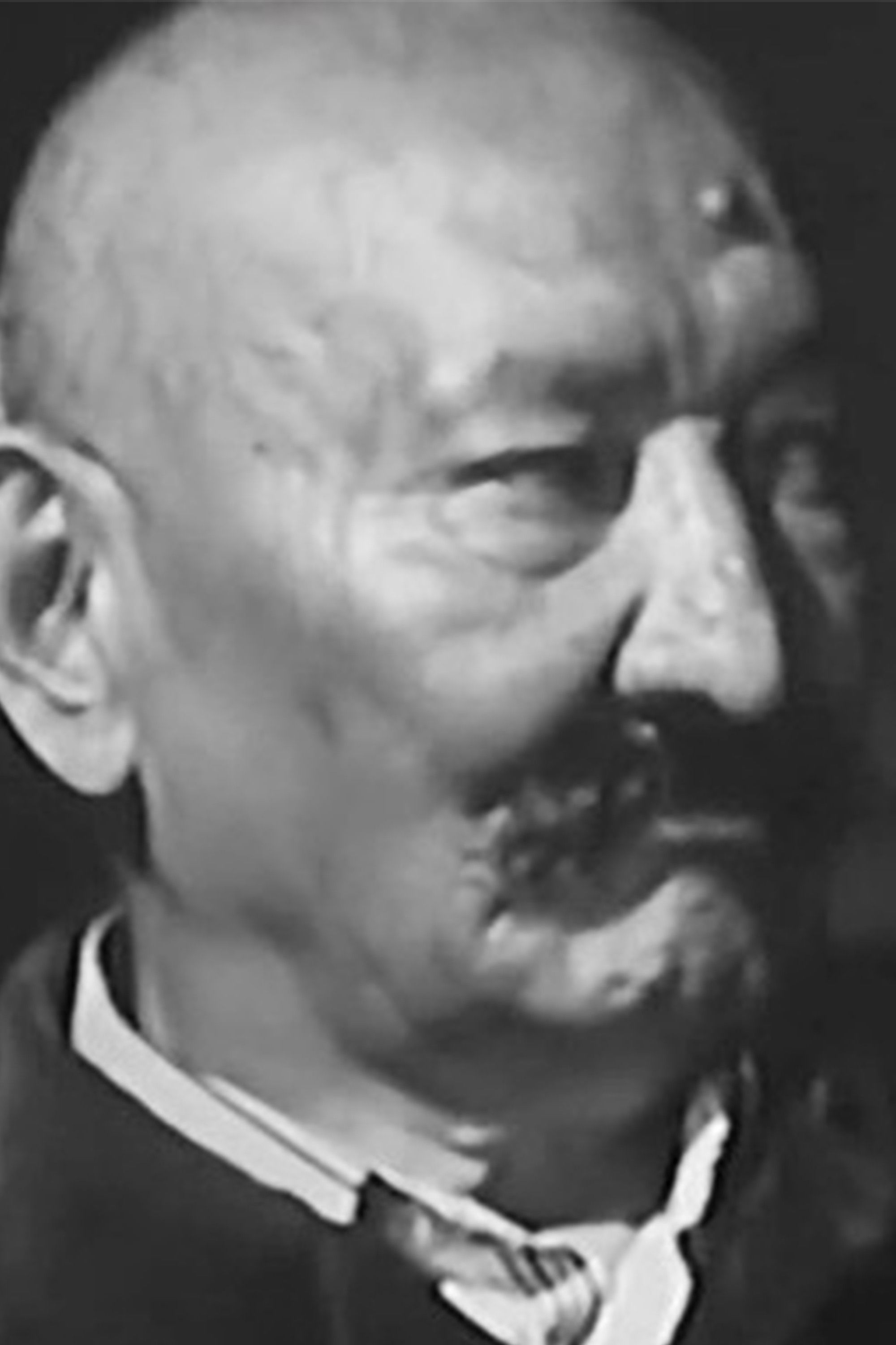 Akhmed Shamiyev backdrop