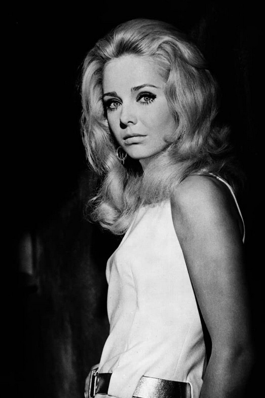 Karin Mossberg backdrop