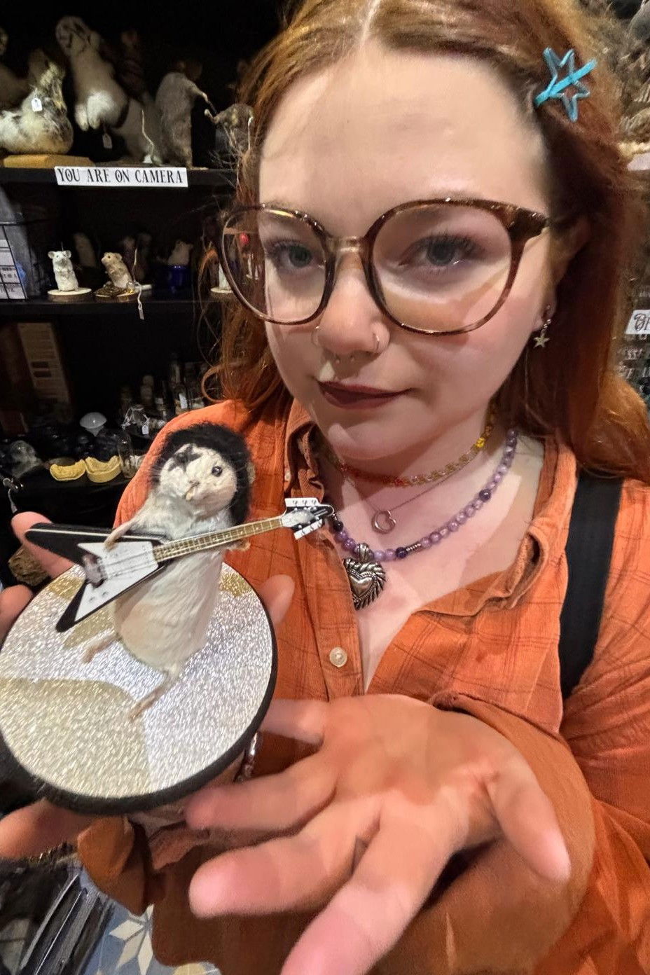 Katie Taylor backdrop