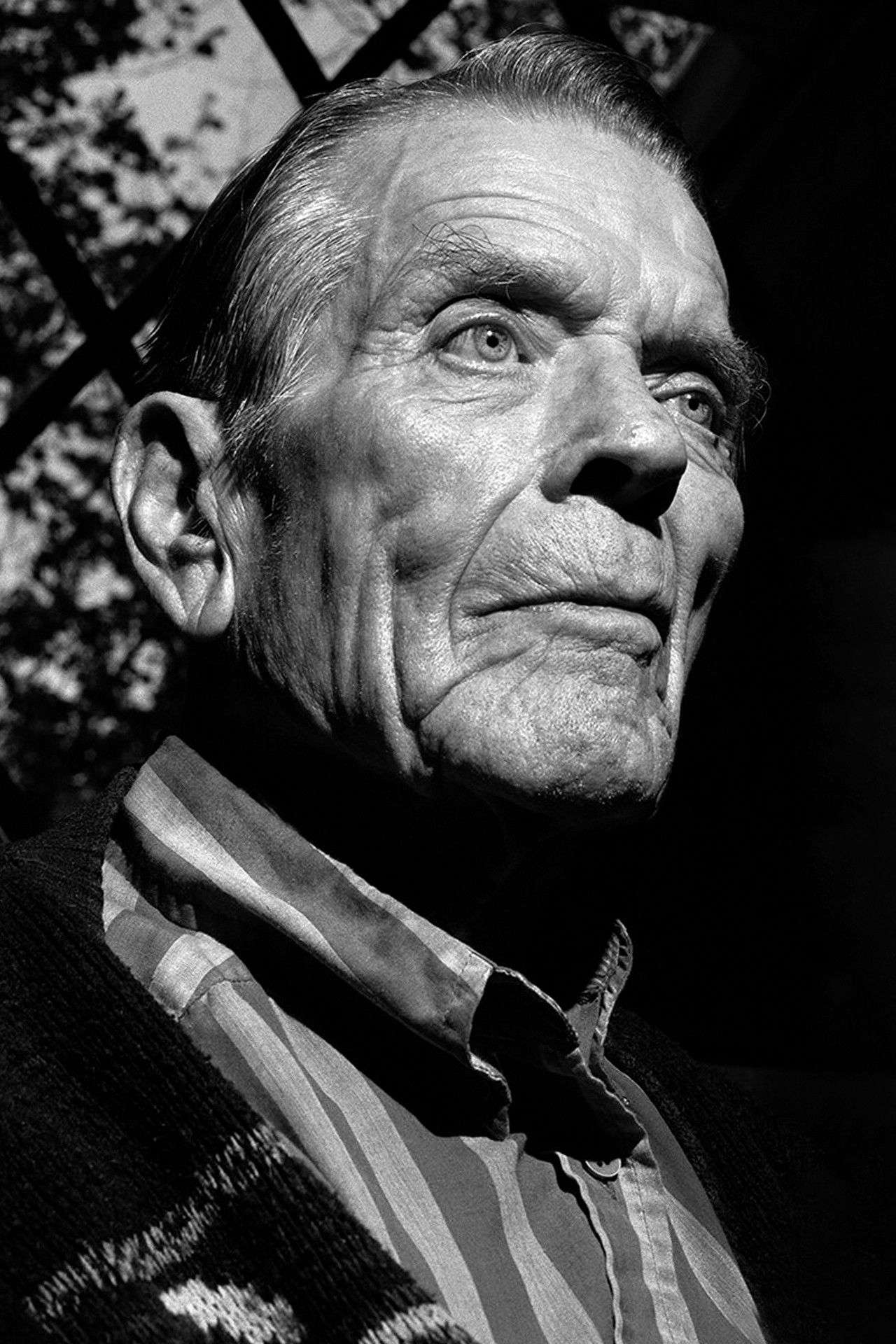 Mark Powell backdrop