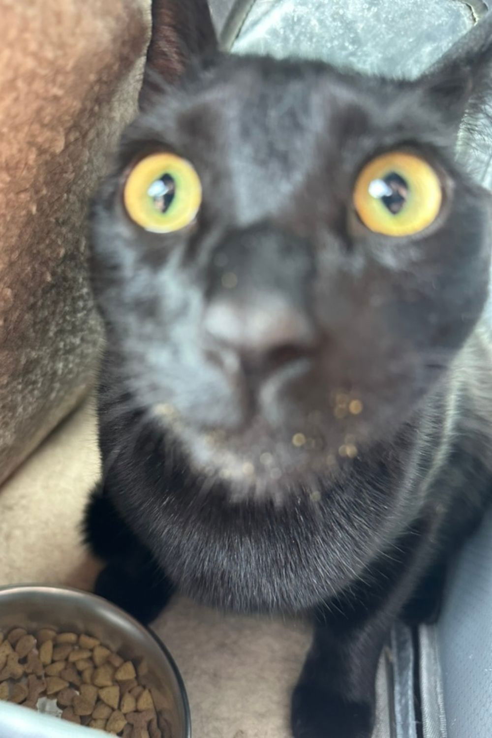 Bean Burrito Beynon backdrop