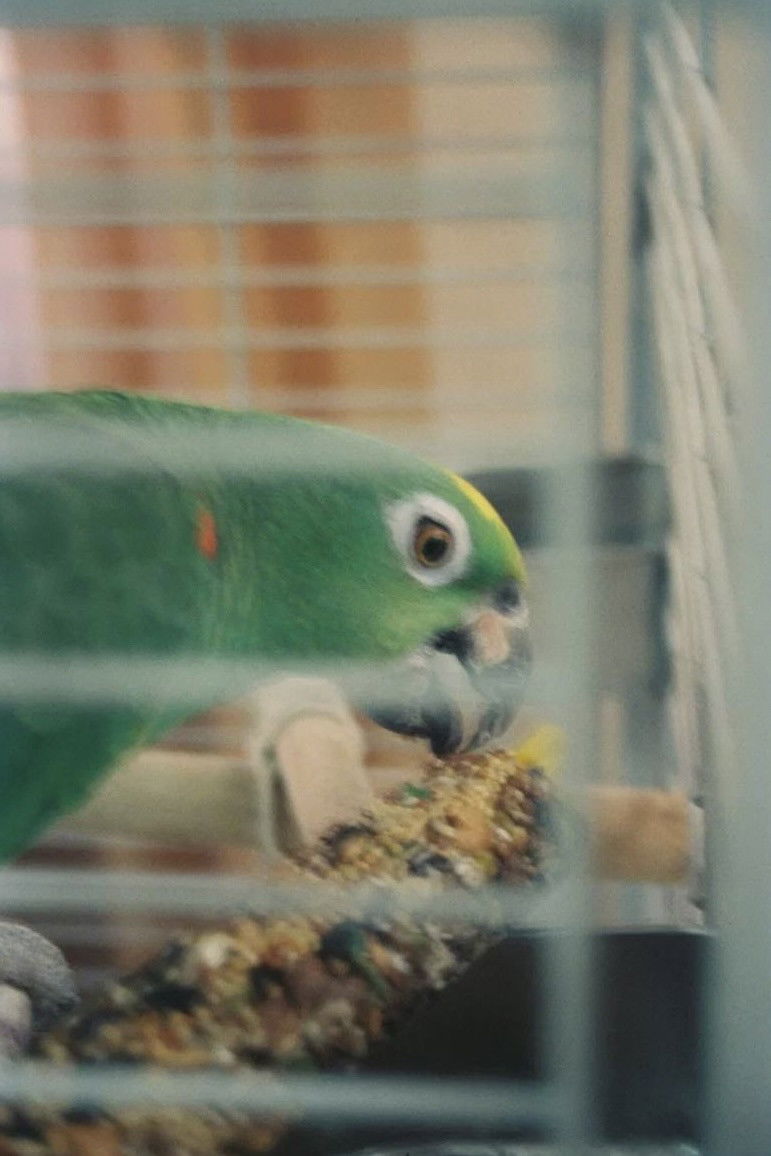 Mr. Meeseeks backdrop