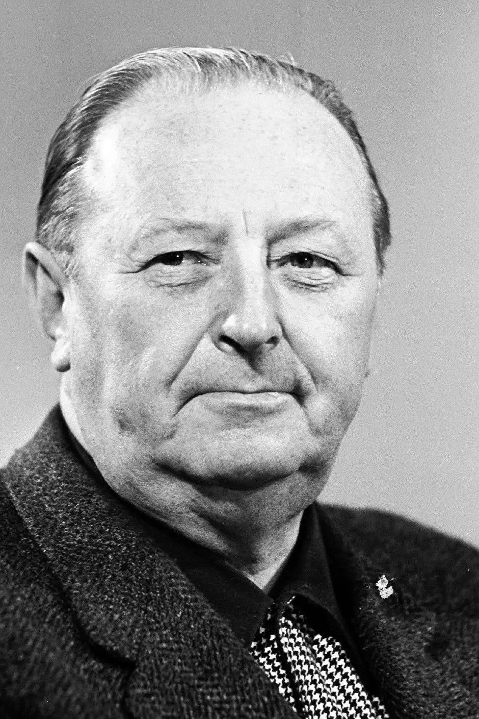 Alfred Rebane backdrop