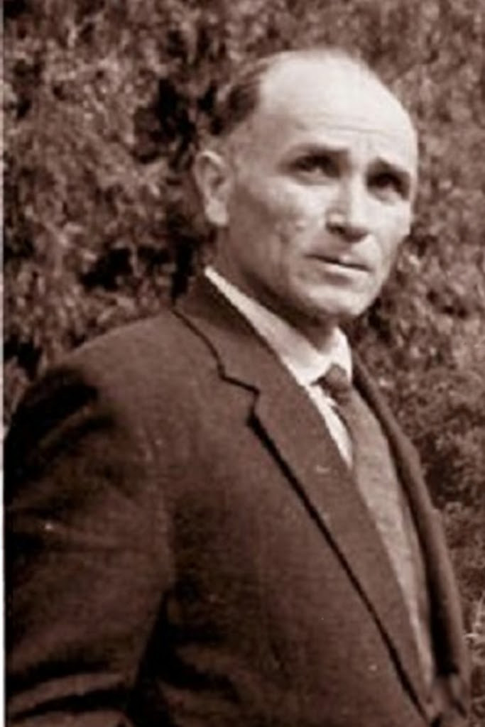 Ilia Kavkazag backdrop