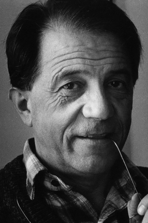 Borivoje Todorović → Borivoje Todoroviç backdrop