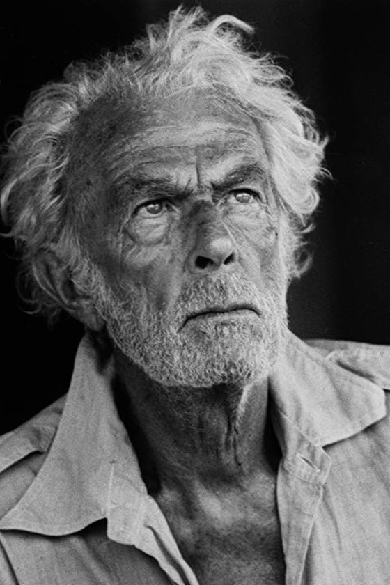 Fridrih fon Ledebur backdrop