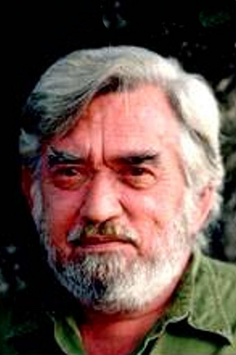 Hugo van Lawick: Ugo van Lavik backdrop