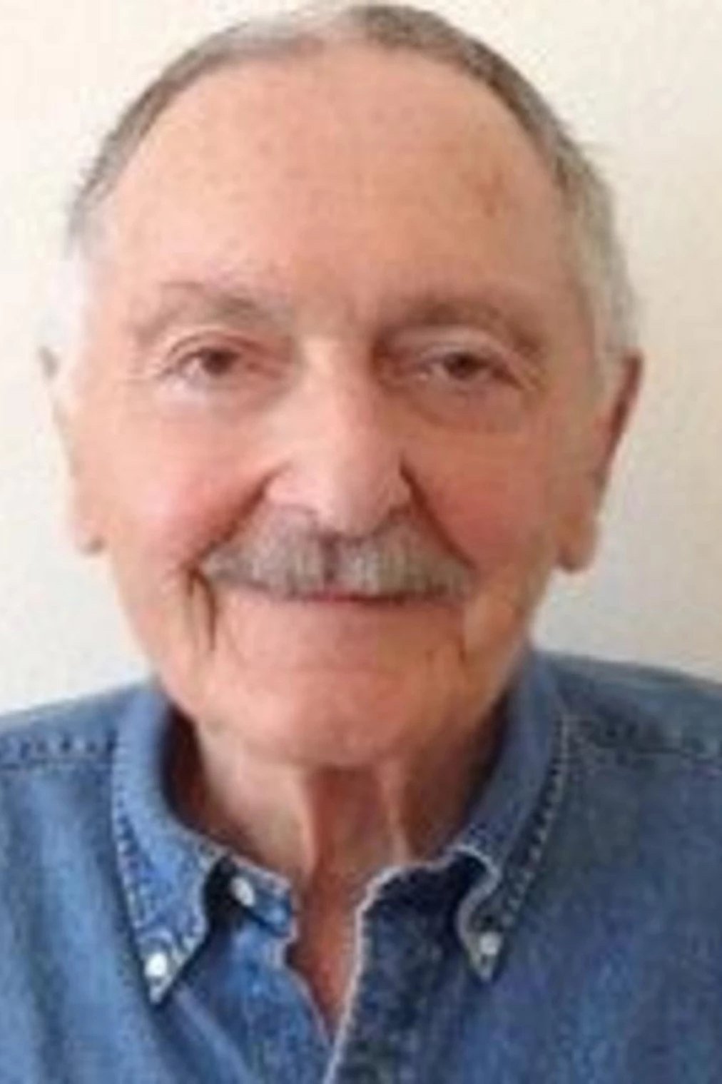 Howard Avedis backdrop