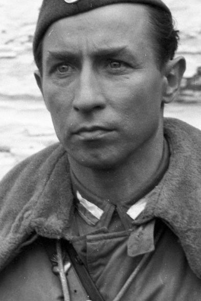 Tadeusz Somogi backdrop