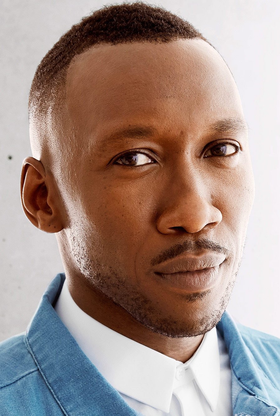 Mahershala Ali backdrop