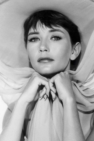 Barbara Bostock backdrop