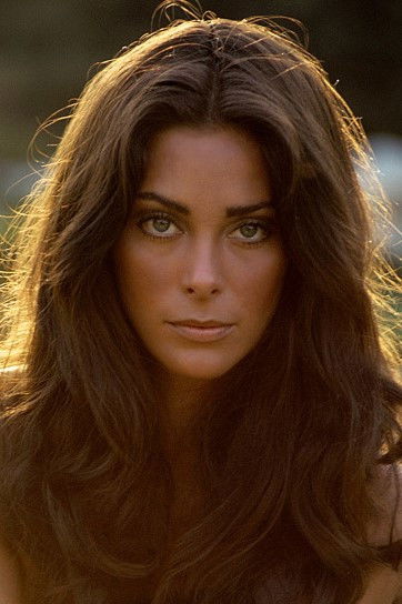 Paula Pritchett backdrop