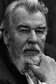 Bernhard Wicki → Bernhard Viki