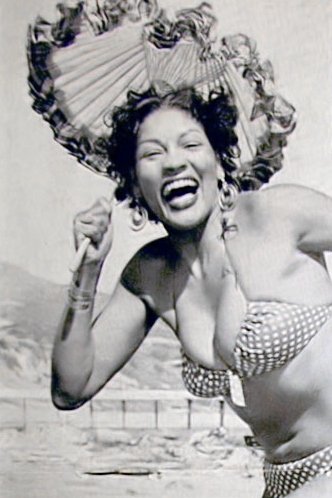 Suzette Harbin backdrop