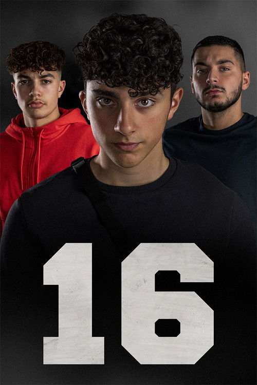 16 poster