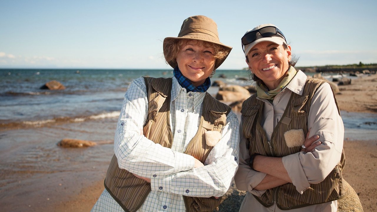 Ato peshkohen backdrop