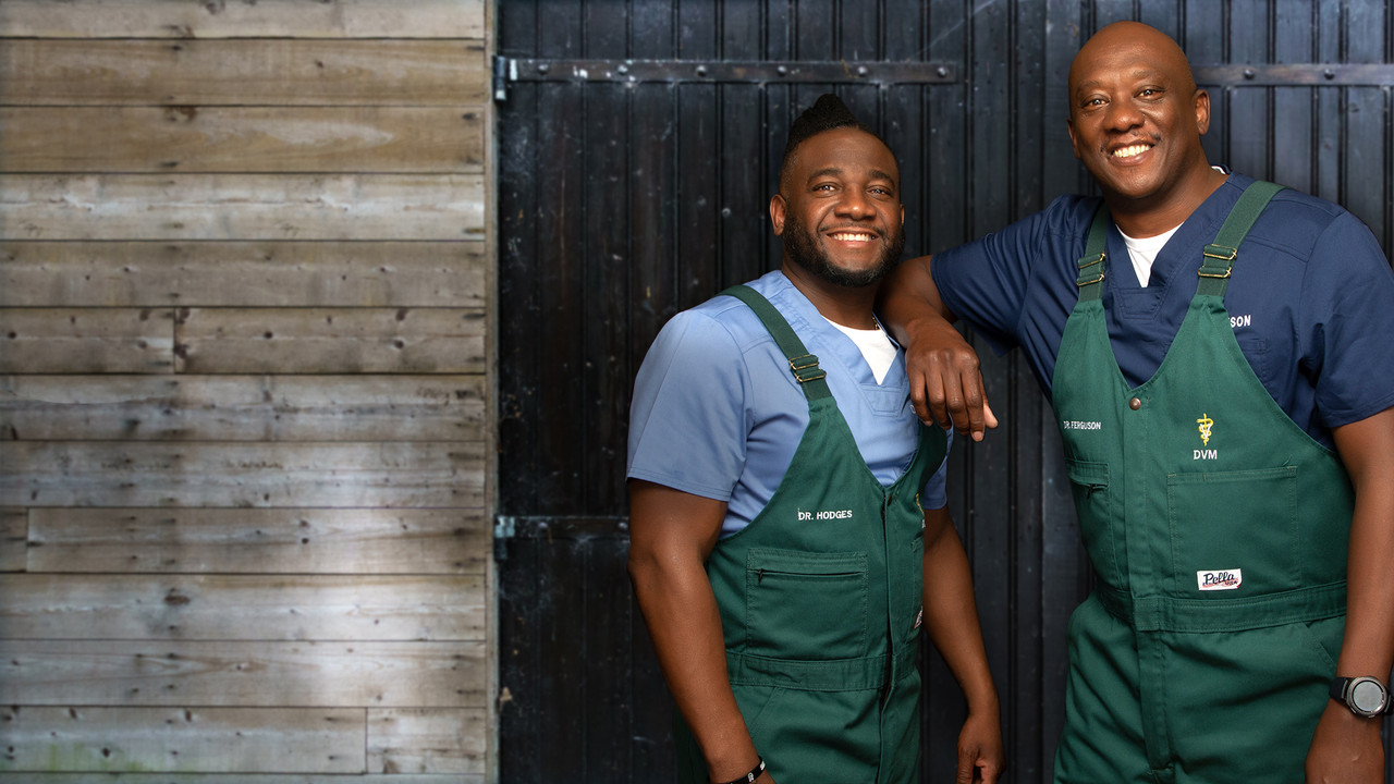 Korrigjuesit e Krijesave: Veterinarët e Fshatit backdrop