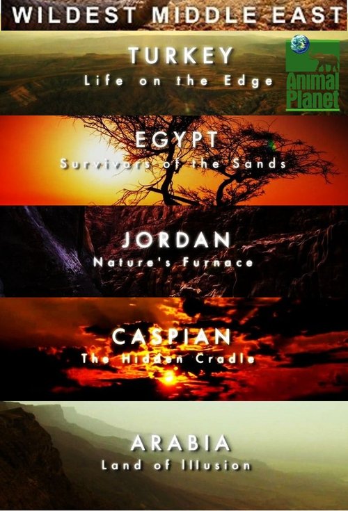 Më e egra e Lindjes së Mesme poster