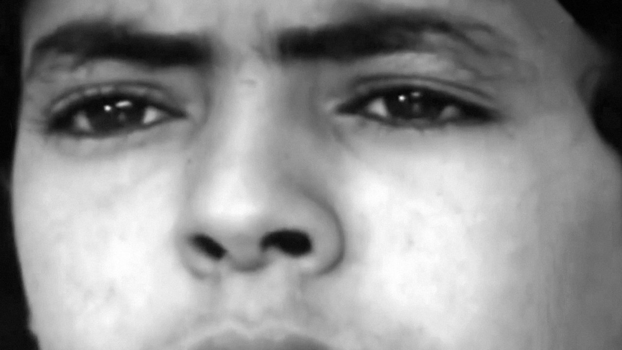 Bones of Steel backdrop