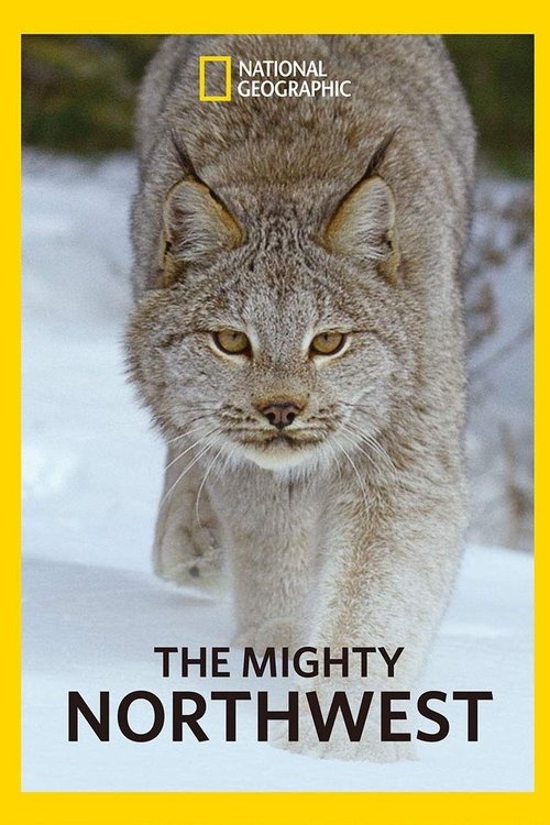 Alan Bennett's Talking Heads poster