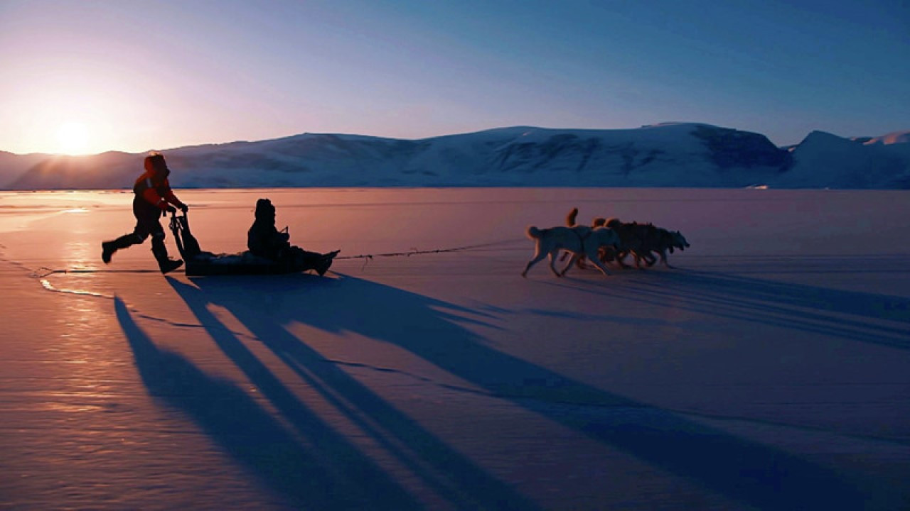 Thirrja e akullit backdrop