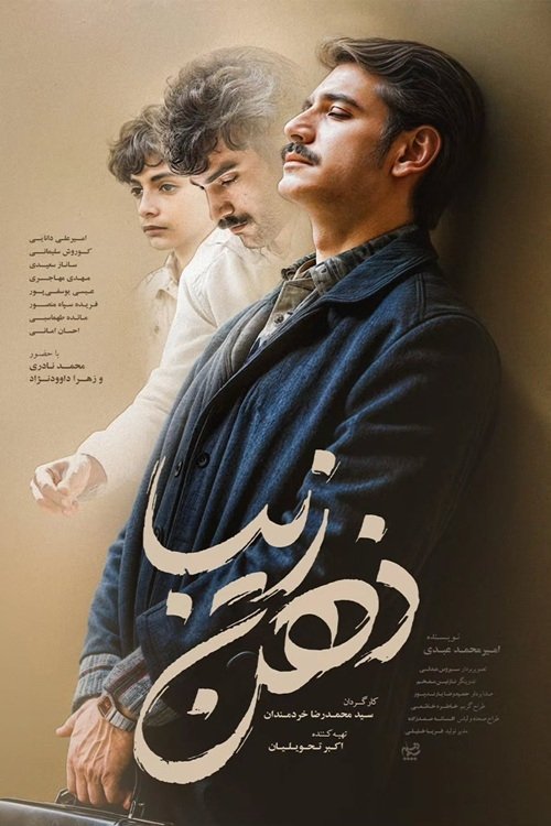 Dashuri e Panjohur poster