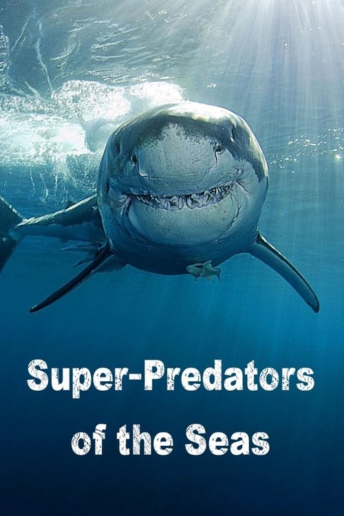 Gjuetarët e Detit Gjenialë poster