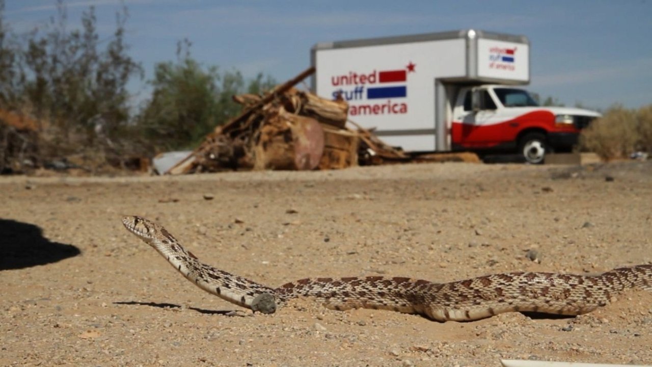 Një nusë për një udhëtim backdrop