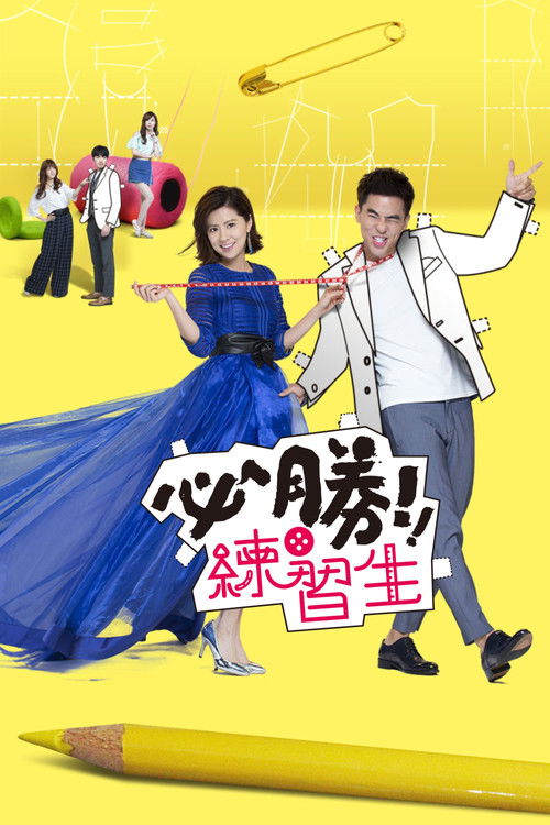 Dashuri me Dizajn poster