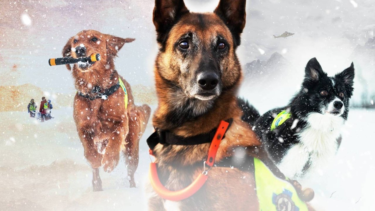 BOOM  By İbrahim Selim backdrop