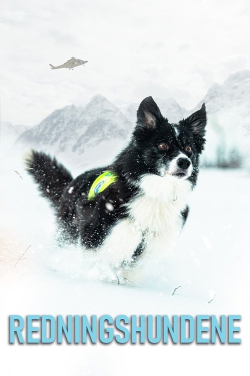 BOOM  By İbrahim Selim poster