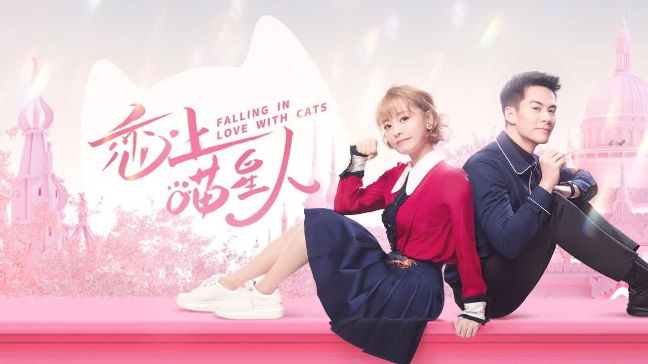 Të Besh Njëdashuri Me Macet backdrop