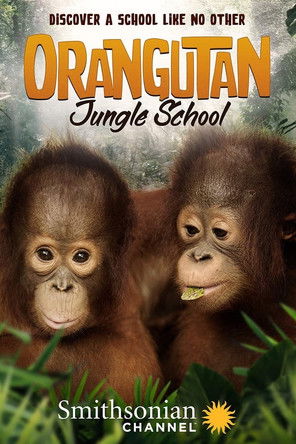 Shkolla e Xhunglës për Orangutanjtë