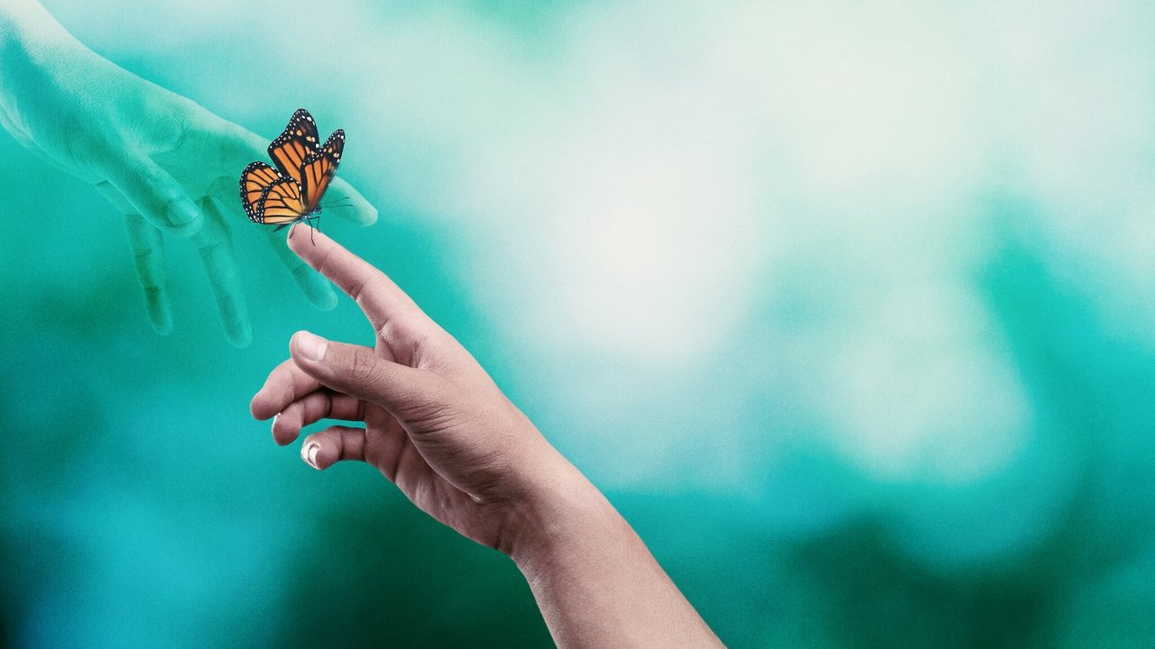 Dhembja e Jetës backdrop