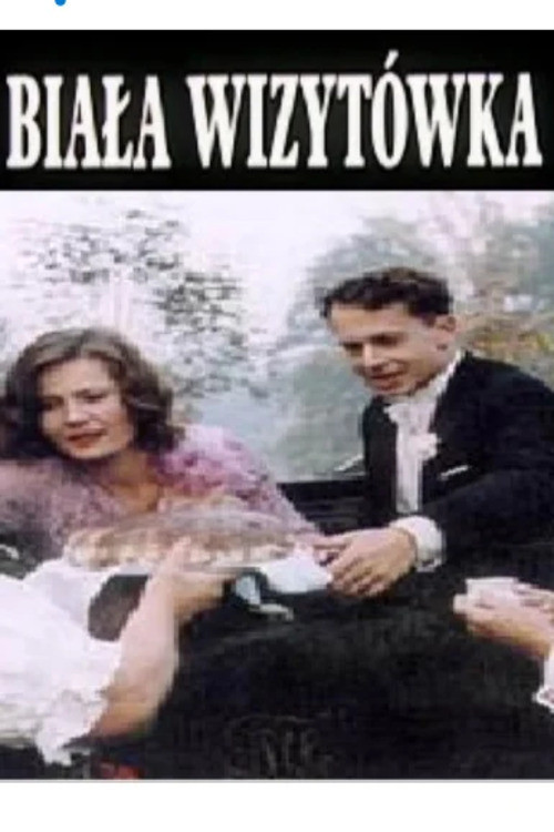 Vizitë e Bardhë poster