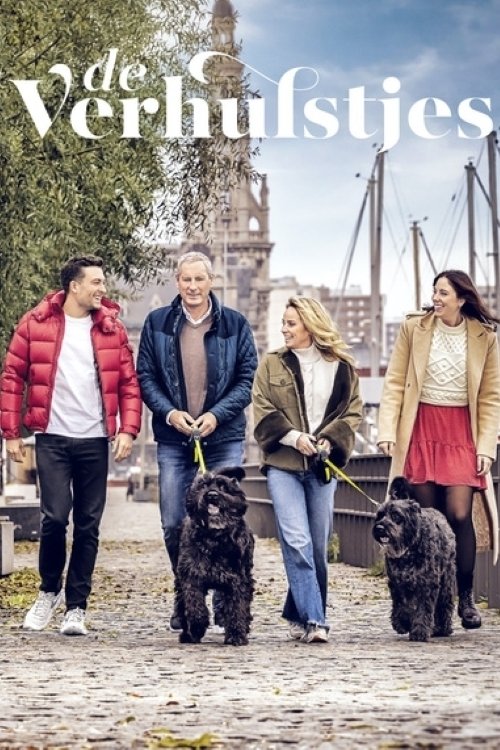 De Verhulstjes poster