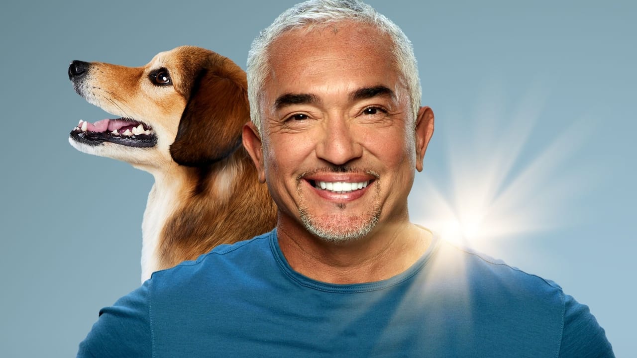 Cesar Millan: Njeri më i Mirë, Qen më i Mirë backdrop