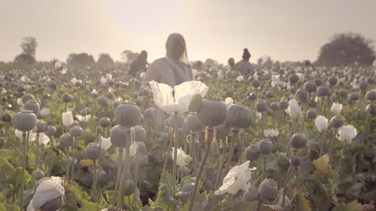 Krimi i shekullit backdrop