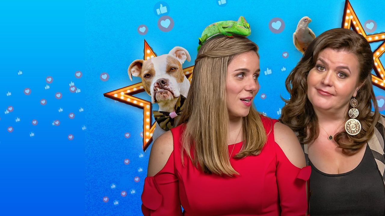 Pet Stars backdrop