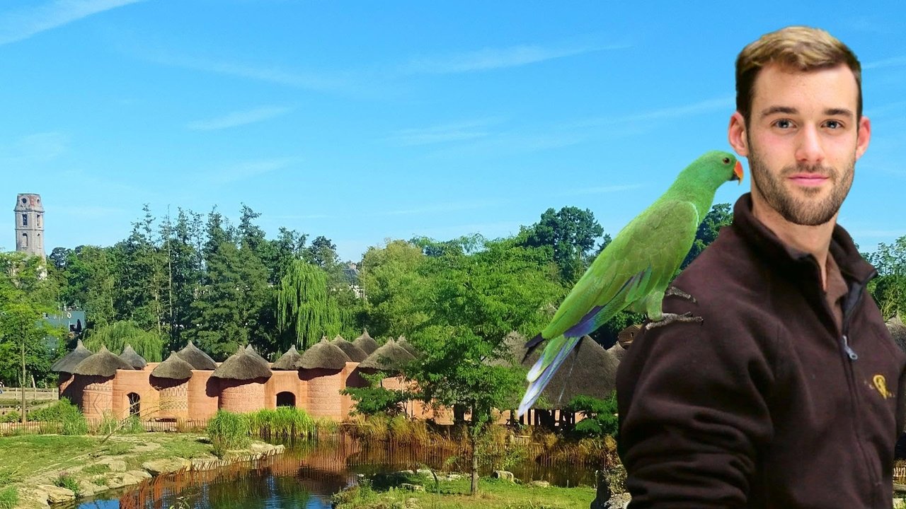 Ekspeditë në Pairi Daiza backdrop