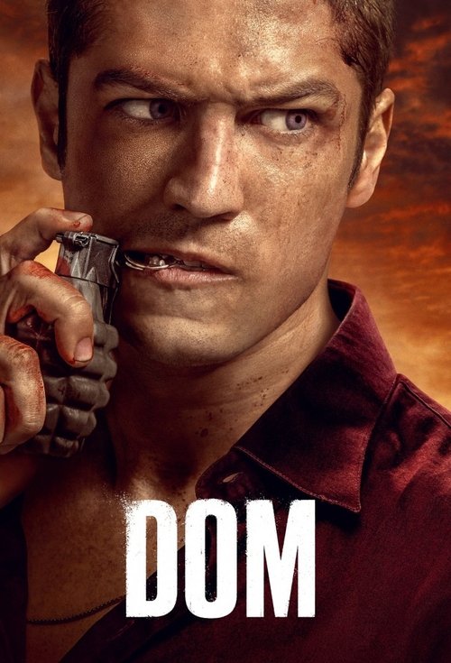 Dom poster