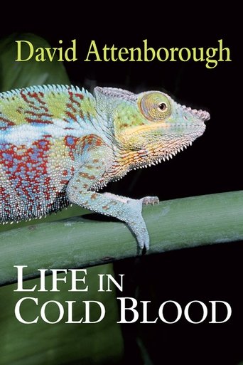 Jeta në Gjak të Ftohtë