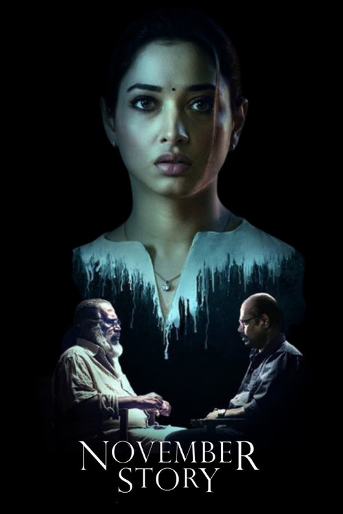 Historia e Nëntorit poster