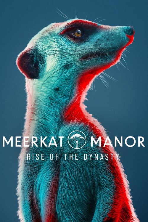 Meerkat Manor: Rritja e Dinastisë poster