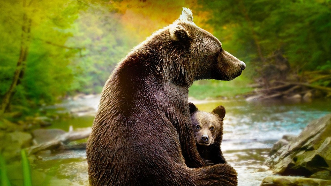 Të Rriturit si Kafshë backdrop