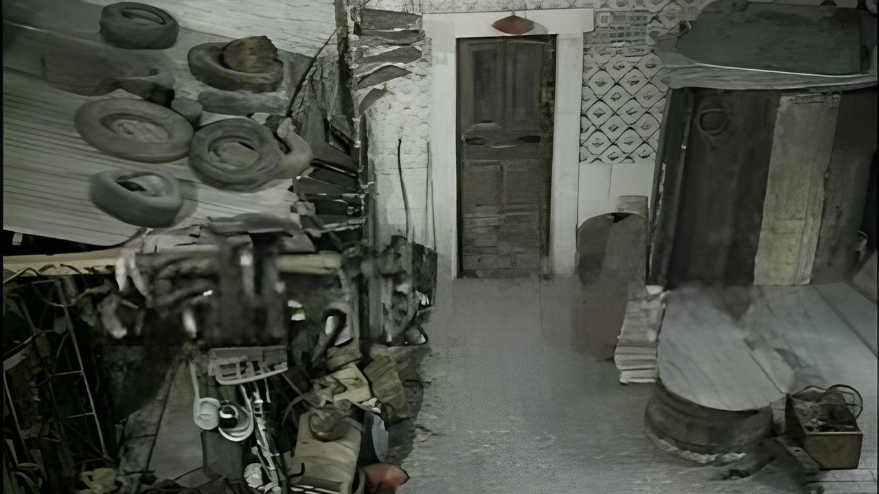 Camilo & Filho Lda backdrop