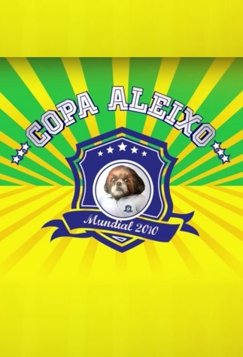 Copa Aleixo 2010 poster