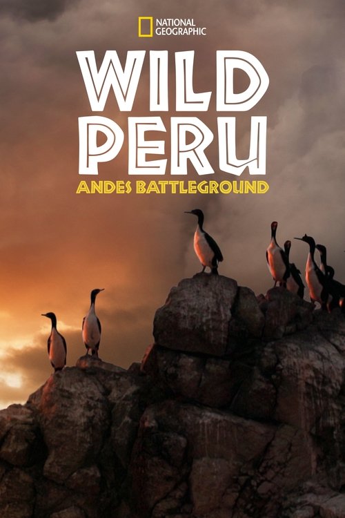 Peru i Egër: Fusha e Betejës në Andet poster