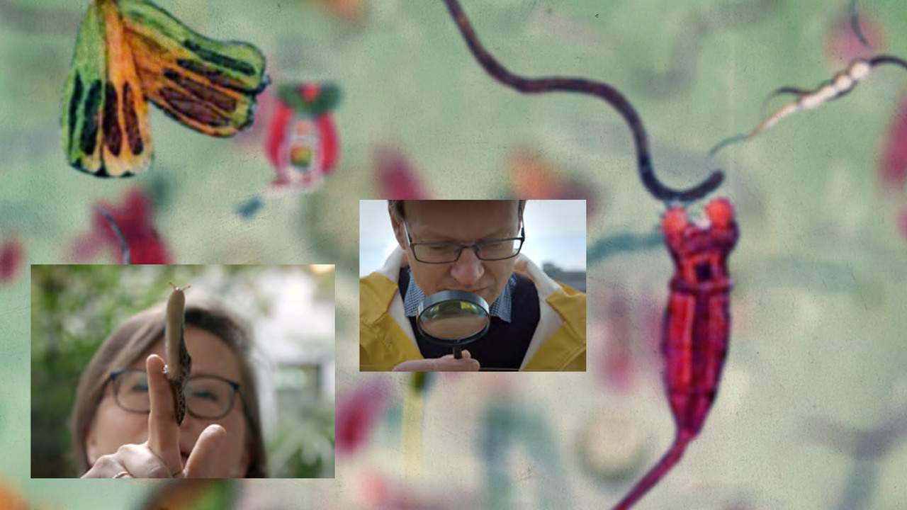 42 – Përgjigjja për Gati Çdo Gjë backdrop