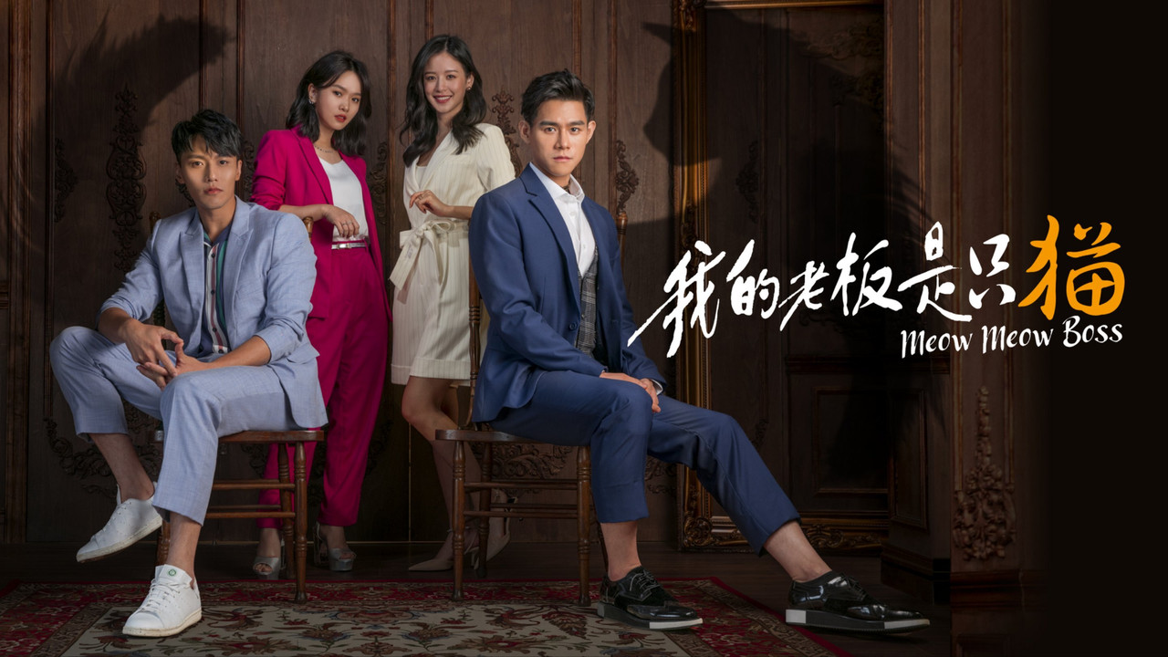 Miau Miau Shefi backdrop